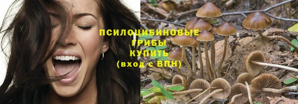 соль ск Вязники