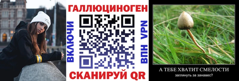 Псилоцибиновые грибы Psilocybine cubensis  Ноябрьск 